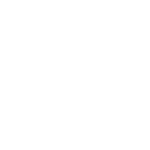 Mercedes-Benz Logo in Weiss