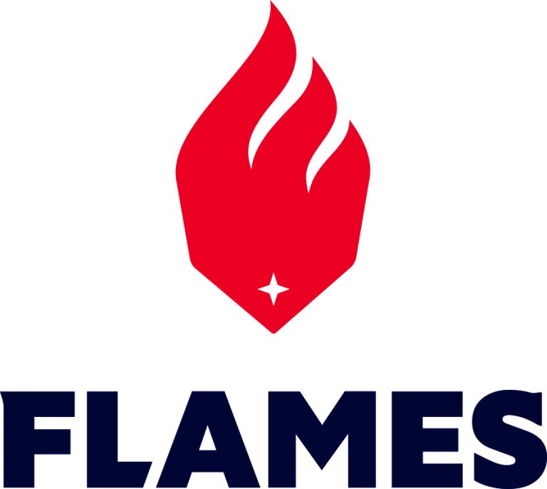 Logo Flames